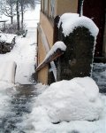 Garten 2007 013.1.jpg