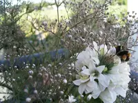IMGP6406.webp