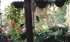 kukoistavaparveke.webp