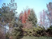 SIMG1727.webp