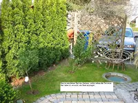 Garten 001.webp