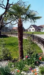 Garten 2007 058.1.webp