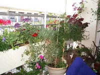 IMGP5543.webp
