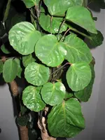 102_0202_2.webp