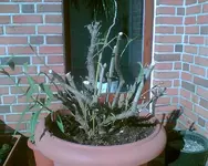 Bild028.webp