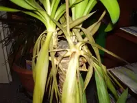 P9270006.webp