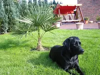 Bild 002.webp