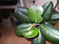BILD0442.webp BILD0442.webp