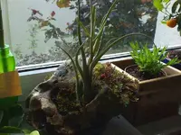 DSC00071_800x600.webp
