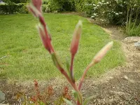 P1010026.webp