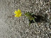 P1010007.webp
