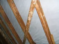 dach2.webp