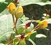 PICT0021.webp