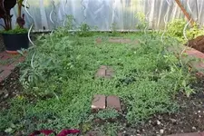 IMG_3642 (Small) (Small) (Custom) (Custom).webp