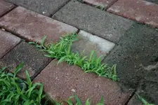 IMG_3641 (Custom).webp