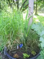 141_4121[1].webp
