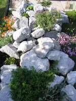 141_4123.webp