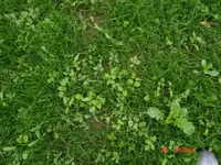 Bild6.webp