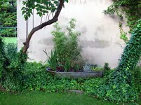 DSCN3134 Kopie.webp