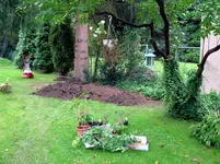 DSCN3649 Kopie.webp