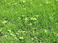 IMG_4624[1].webp