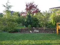CIMG1854.webp