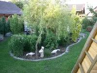 CIMG1858.webp