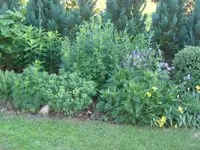 CIMG1860.webp