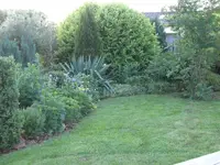 CIMG1861.webp