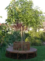 CIMG1863.webp