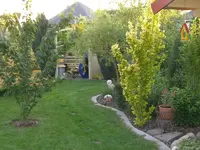 CIMG1867.webp