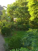 CIMG1868.webp