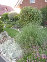CIMG1872.webp