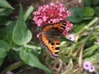Kopie von Bild 070.webp