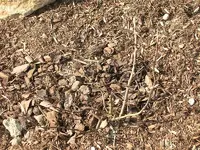 DSCN2421.webp