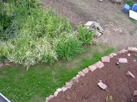 DSCN2423.webp