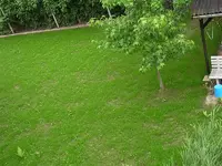 DSCN2429.webp