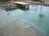 DSCF0472.webp