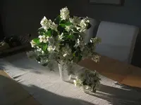 blumen.webp