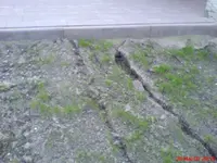 DSC00061.webp
