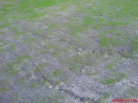 DSC00066.webp