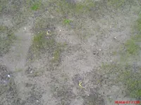 DSC00071.webp