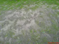 DSC00067.webp