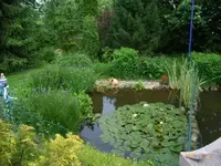 Pic004.webp