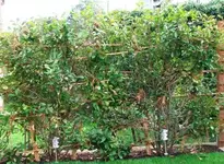 Bild.webp