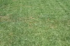 IMG_3364.webp