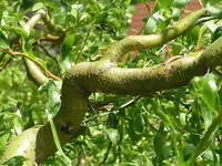 Bild 170.webp