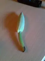 Bild004.webp
