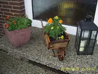 Garten 08-06-07 070.webp