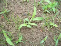 CIMG0328.webp